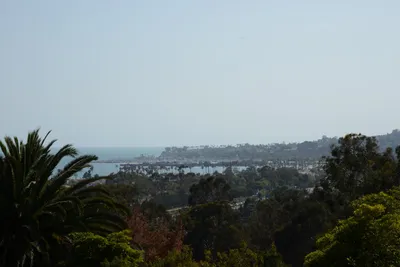 DSC_2468 (Large).JPG